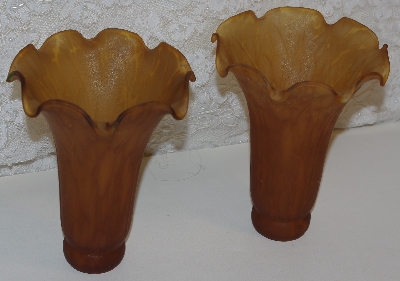 +MBA #AE3-181  "Set Of 2  Amber Tiffany Style Pond Lilly Glass Shades"