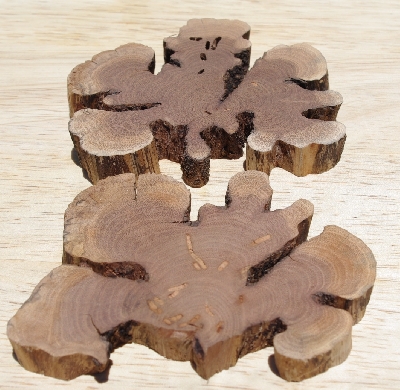 +MBA #5558-003  " Set Of (2) Manzanita Root Slices"