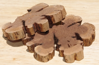 +MBA #5558-003  " Set Of (2) Manzanita Root Slices"