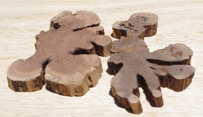 +MBA #5558-0010  " Set Of (2) Manzanita Root Slices