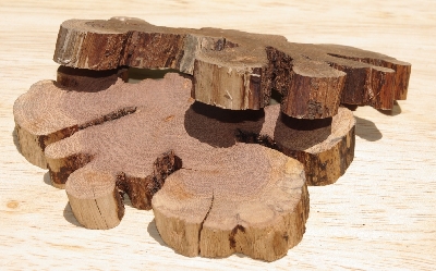 +MBA #5558-0010  " Set Of (2) Manzanita Root Slices