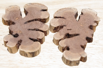 +MBA #5558-0015  "Set Of (2) Manzanita Root Slices"