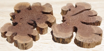 +MBA #5558-0031  "Set Of (2) Manzanita Root Slices"