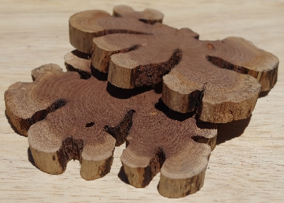 +MBA #5558-0031  "Set Of (2) Manzanita Root Slices"