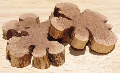 +MBA #5558-0053  "Set Of (2) Manzanita Root Slices"