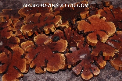 +MBA #5558-141  "Set Of (2) Manzanita Root Slices"