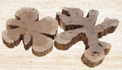 +MBA #5558-141  "Set Of (2) Manzanita Root Slices"