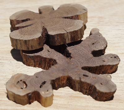 +MBA #5558-141  "Set Of (2) Manzanita Root Slices"