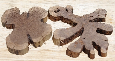+MBA #5558-147  "Set Of (2) Manzanita Root Slices"