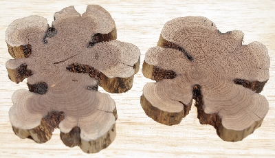 +MBA #5558-170  " Set Of (2) Manzanita Root Slices"
