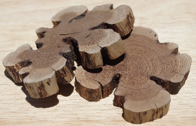 +MBA #5558-170  " Set Of (2) Manzanita Root Slices"