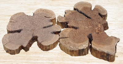 +MBA #5558-179  "Set Of (2) Manzanita Root Slices"