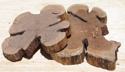 +MBA #5558-179  "Set Of (2) Manzanita Root Slices"