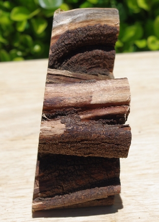 +MBA #5558-224  "Piece Of Manzanita Root"