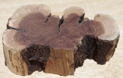 +MBA #5558-234  "Piece Of Manzanita Root"