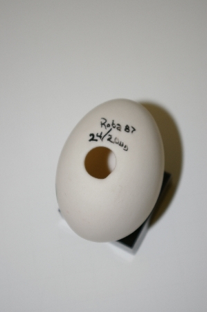 +MBA #10-301  Hand Painted, Dated, Numbered & Signed Fine Bone China Egg