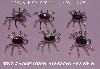 +MBA #5608- 0066  "Set Of (6) Sterling Spider Pendant Settings"