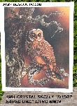 +MBA #5611-0166  "1984 Crystal Skelly "Short Eared Owl" Litho #IM34"