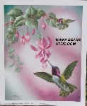 +MBA #5611-0032  "1990 Crystal Skelly "Costa's Hummingbird" Litho #IM156"
