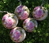 +MBA #5614-132  "1990's Set Of 12 Victorian Style Pink Rose Ornaments"