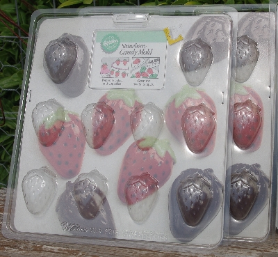 MBA #5627B-2213  "1990's Set Of 5 Wilton Candy Molds"