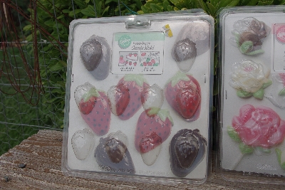 MBA #5627B-2213  "1990's Set Of 5 Wilton Candy Molds"