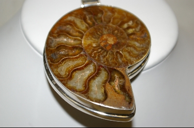 +MBA #FS   Large Stone Shell Fossil Pendant  Set In Sterling