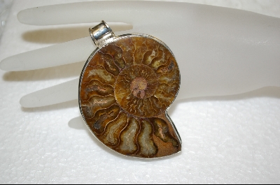 +MBA #FS   Large Stone Shell Fossil Pendant  Set In Sterling