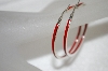 +MBA #20-495  Sterling Red Enamel Earrings
