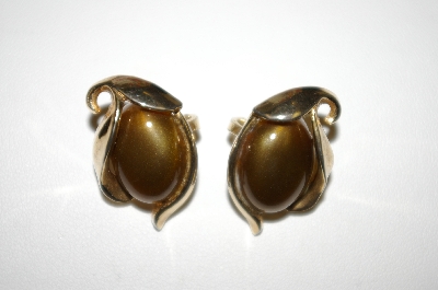 +MBA #25-445  Tafari Gold Tone Brown Acrylic Clip Back Earrings
