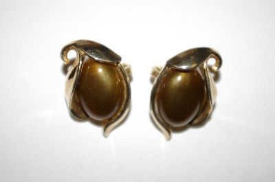 +MBA #25-445  Tafari Gold Tone Brown Acrylic Clip Back Earrings