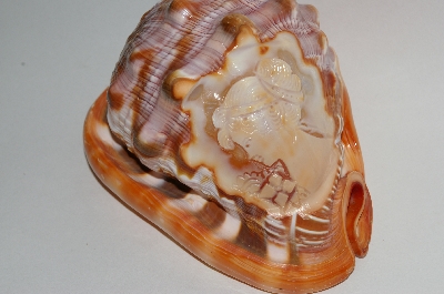 +MBA #65-106  "M+M Scognamiglio" Italian Hand Carved "Cameo" Conch Shell
