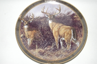 + MBA #69-145   1998 Trevor V. Swanson "Dos Amigos" White Tail Deer Collectors Plate
