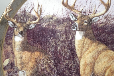 + MBA #69-145   1998 Trevor V. Swanson "Dos Amigos" White Tail Deer Collectors Plate