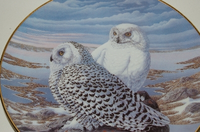 +MBA #69-091  1991 Terry McLean "Arctic Watch" Collectors Bird Plate