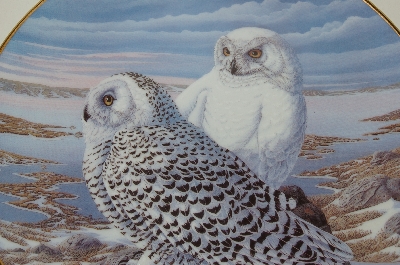 +MBA #69-091  1991 Terry McLean "Arctic Watch" Collectors Bird Plate