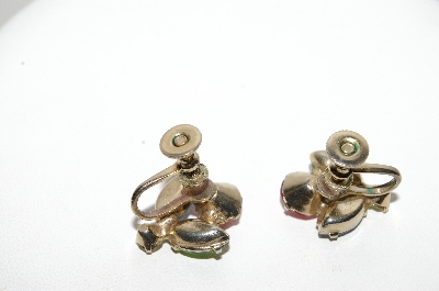 +MBA #98-044  ""Vintage Goldtone Multi Colored Rhinestone Screw Back Earrings"