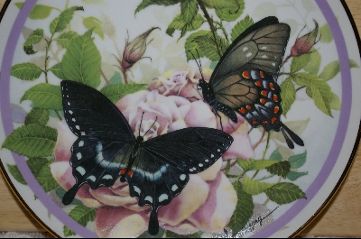 +  Artist Paul J. Sweany "Spicebush Swallowtail" 1986