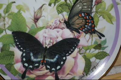 +  Artist Paul J. Sweany "Spicebush Swallowtail" 1986