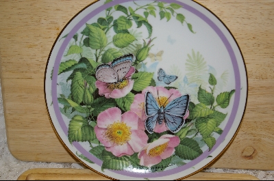 +  Artist Paul J. Sweany "Common Blue" 1986