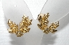 +MBA #E55-016    "Bergere Gold Tone Clear Crystal Rhinestone Clip On Earrings"
