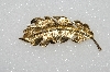 +MBA #S51-517   "Vintage Gold Plated Fany Leaf Pin"