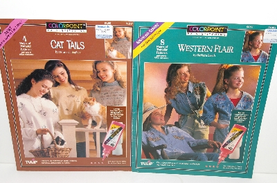 +MBA #S31-105   "Older Set Of 5 Colorpoint Paintstiching Craft Books"