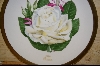 +  American Rose Society Plate 1980