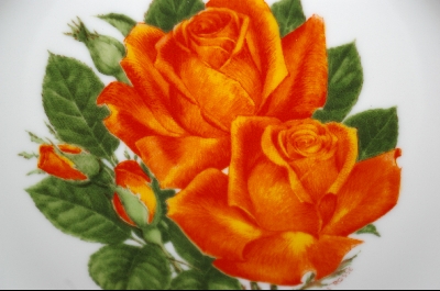 + The 12 Rose Plates "TROPICANA" 1979