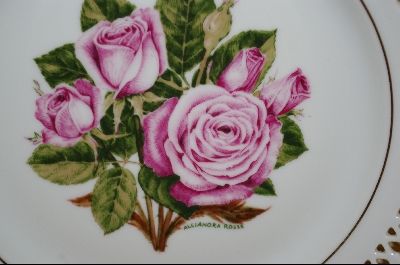 +The 12 Rose Plates "ANGEL FACE" 1979