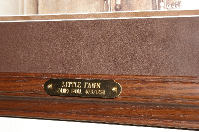 +MBA #FL8-085   "Little Fawn-Cree Indian Girl" By Artist James Bama