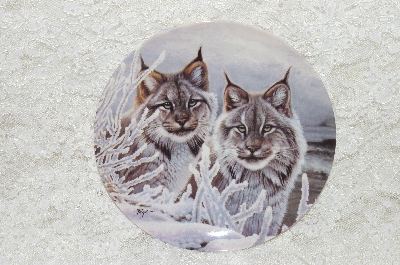 +MBA #SG5-012  "1993  Eyes In The Snow" By Artist Daniel Renn Pierce