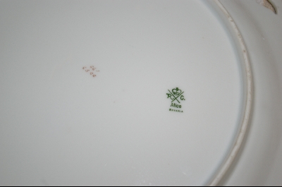 +MBA #AP-BRP  "Bavarian Hand Painted Rose Plate