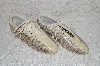 +MBAB #29-217  "Snakers Virgin (W05) Natural Snakeskin Shoes"